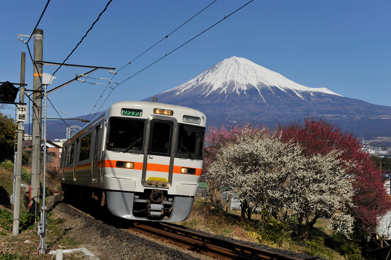 Mt Fuji, Shizuoka Wasabi Farm Tour with Hokusai Train & Bullet Train 090nCjqQ