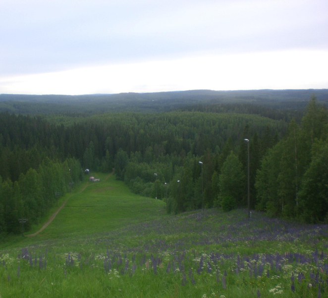 Jyväskylä: Finnish Homestay Experience with Meals l39pLXbP