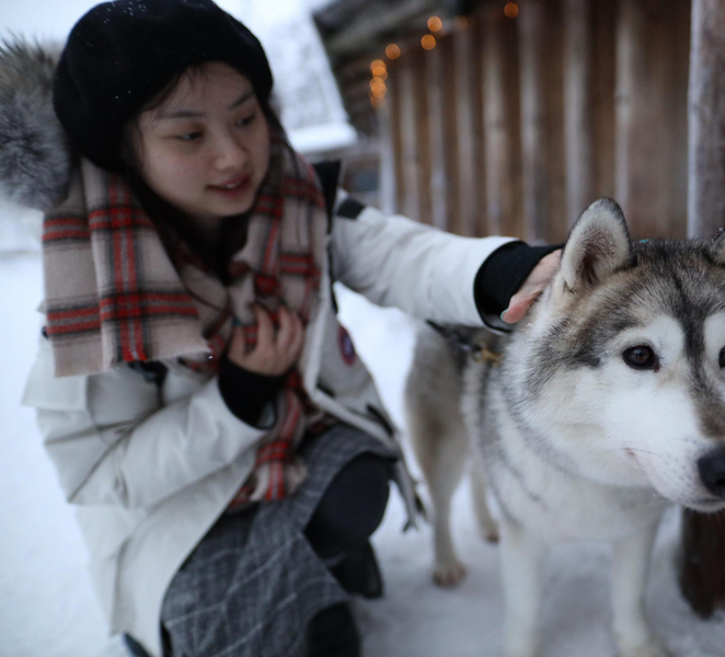 Rovaniemi: Santa Claus Village and Husky sledge/guided tour 57G3PdCs