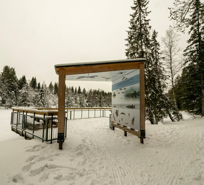 Oulu: Guided Winter Day Trip to Sanginjoki Nature Reserve mN9TIzJv