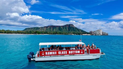 Sea Safari, Dolphins, Turtles and Waikiki Cruise Day Tours YwvIsGaz