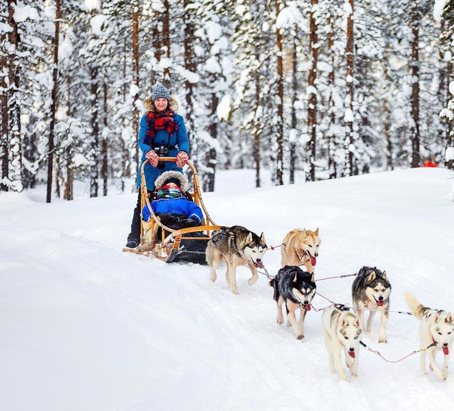 Rovaniemi: Guided Tour to Santa Claus Village with pick up 3NVhWyyT