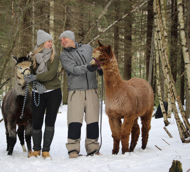 Helsinki: Alpaca Farm Tour with Guided Walk (private) hd8iHQJn