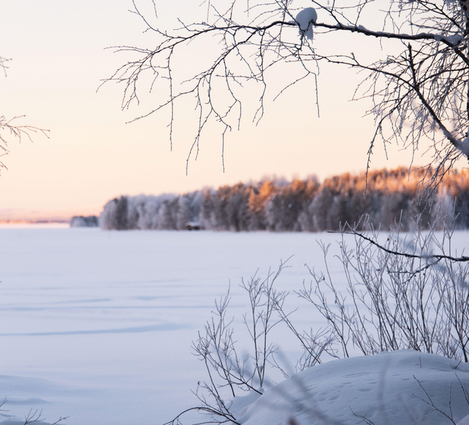 Wilderness Lunch Experience - Vasaraperä Village in Winter DiSaQbE5