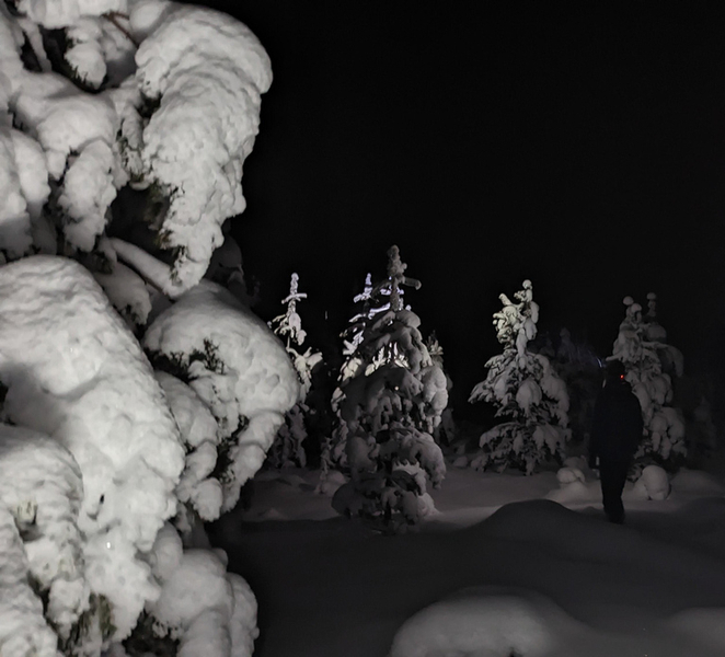 Saariselkä: Snowshoeing Tour in Urho Kekkonen National Park UvDslAwt