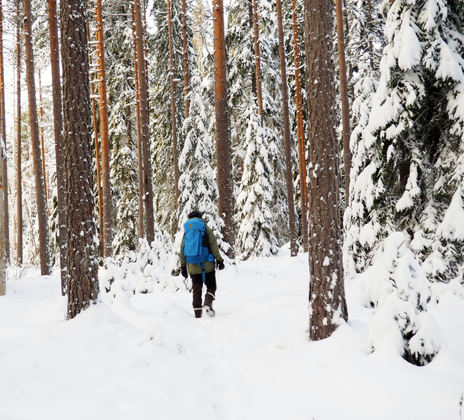 Helsinki: Winter Wonderland Liesjärvi National Park Hike PbETpE6p