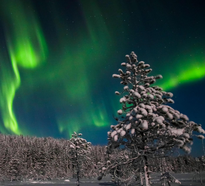 Saariselkä: Northern Lights Hunting Snowshoe Trip FhzFFULD