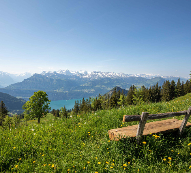 Lucerne: Boat Trip, Mount Rigi Train, & Mineral Baths Ticket fKxc1TKE