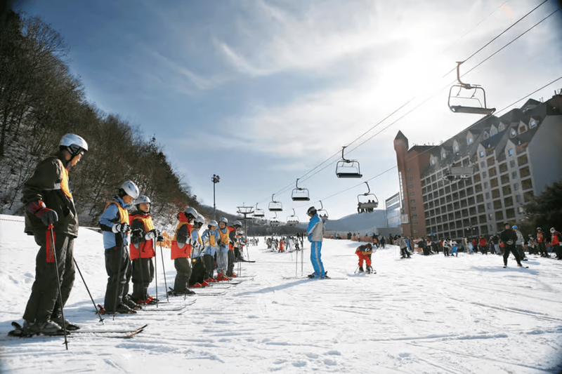 Korea Ski Tour from Seoul - Jisan Resort with Isaac Toast nLFm2PNV