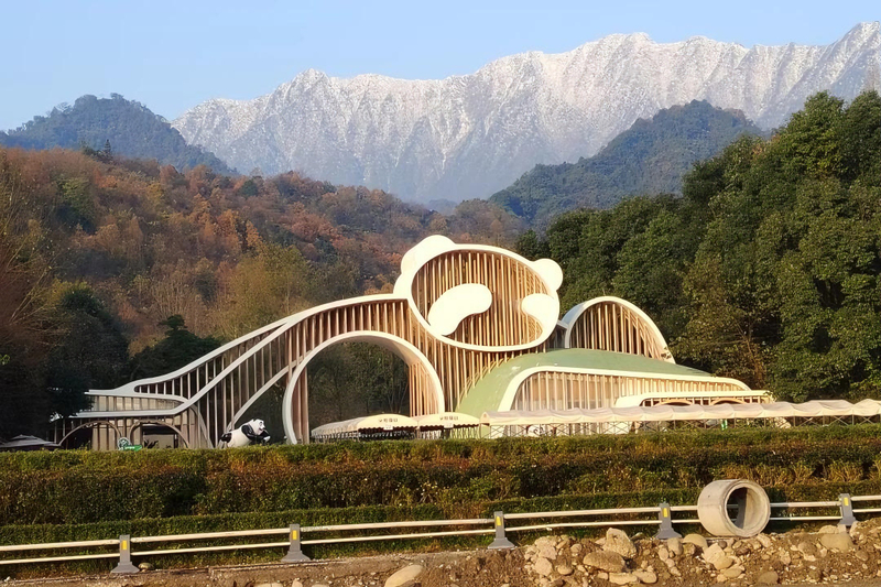 Chengdu Dujiangyan Panda Valley Sanxingdui Qingcheng Mountain 1-Day Tour  7gGV9mTv