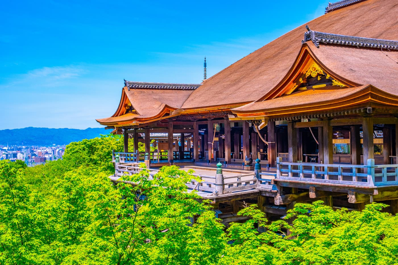 [1 Person Group] Meet adorable deer, stroll through ancient capitals: Kyoto, Nara, Osaka Kansai classic panoramic one-day tour h1qBrV8N