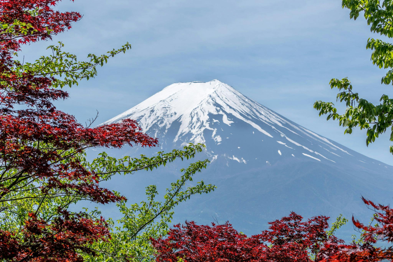 Tokyo Mount Fuji Day Trip: Fruit Picking and Sightseeing Train gTCYSSFc