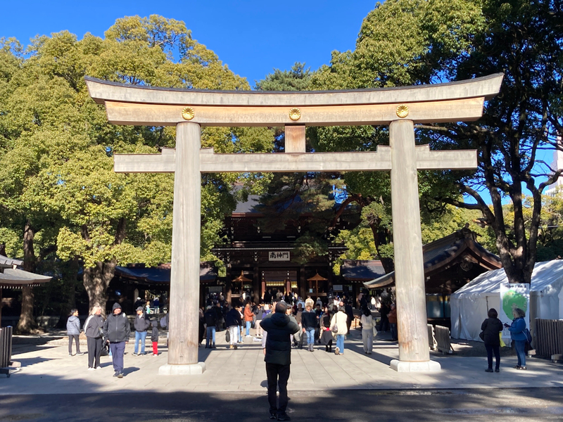 Tokyo: Meiji Jingu Historical Walking Tour with an expert guide oHsb2wOs