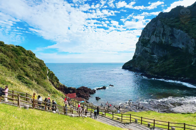 Jeju East&SouthWest Shared Day Tour|Seongsan, Camellia|Multi Spots HjDlygcN