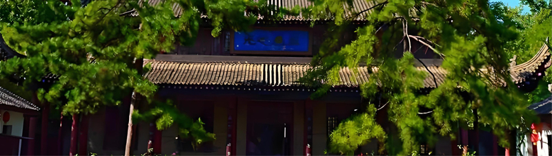 Xi'an Private Tour: Terracotta Army, City Wall, Small Wild Goose Pagoda, and Xi'an Museum Day Trip dVkGM7ts