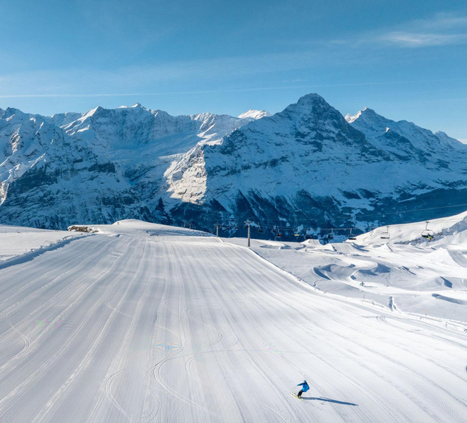 From Zurich: Grindelwald First Cable Car & Interlaken Jt7sUyHf