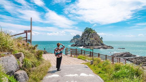 Busan One Day City Tour with Blueline Park Sky Capsule (Oryukdo Skywalk + Huinnyeoul Culture Village + Gamcheon Culture Village) Day Tours hulq4odc