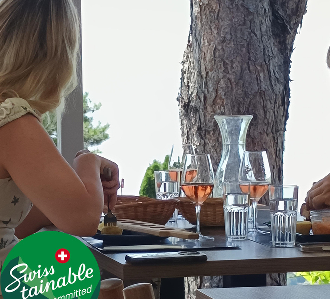 Wine tour in the canton of Vaud - Lavaux vineyards vXcLIGfL