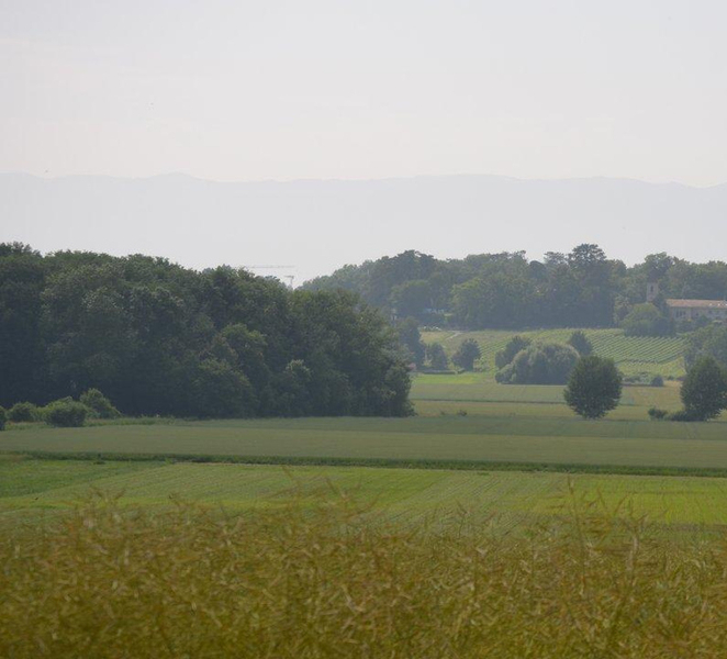 Geneva Countryside And Art Museum At A Castle Wine By E-Bike NoLc30VG
