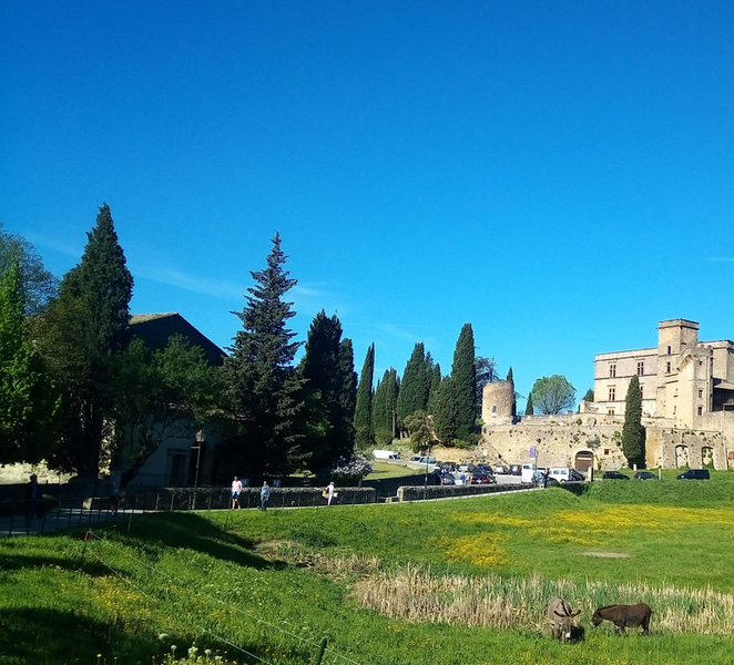 From Aix-en-Provence: Luberon Hilltop Villages Half-Day Tour IT1cJvs8