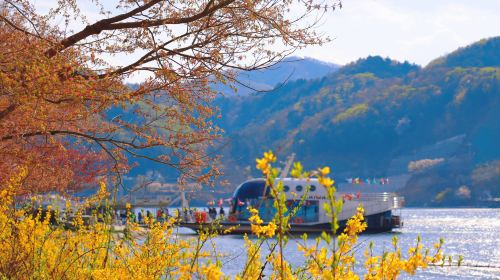 Nami Island + Gangchon Railbike + Petite France & Italian Village One Day Tour [Depart from Seoul] Day Tours a1XtDyy9