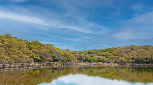 Pocheon 1-day tour: Sanjung Lake + Gukdonggeori Waterfall + Pocheon Herb Island JmrZWThq