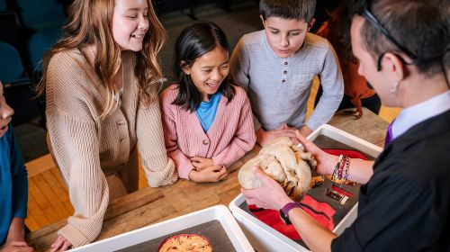 Philadelphia: The Franklin Institute Entry Ticket Day Tours maWtguyK