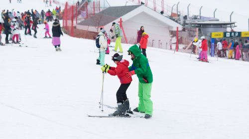  Jisan Forest Winter Ski Day Tour (From Seoul, Ski Snowboard, with Clothes & Basic Lesson) Day Tours PrFTRiAN