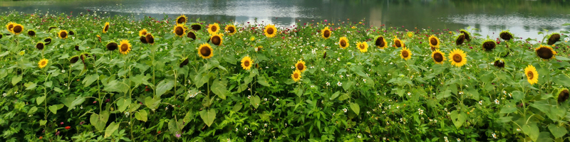 Guangzhou Departure Qingyuan Yingde 1-Day Tour | Secret Cave Realm + Jungle Gallop G8LgW3vh