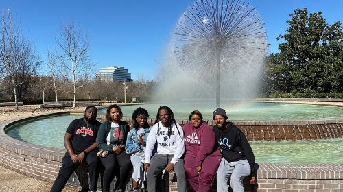 Houston City Tour 2.5-hour Air-Conditioned sightseeing Tour Day Tours TXmCBSiC