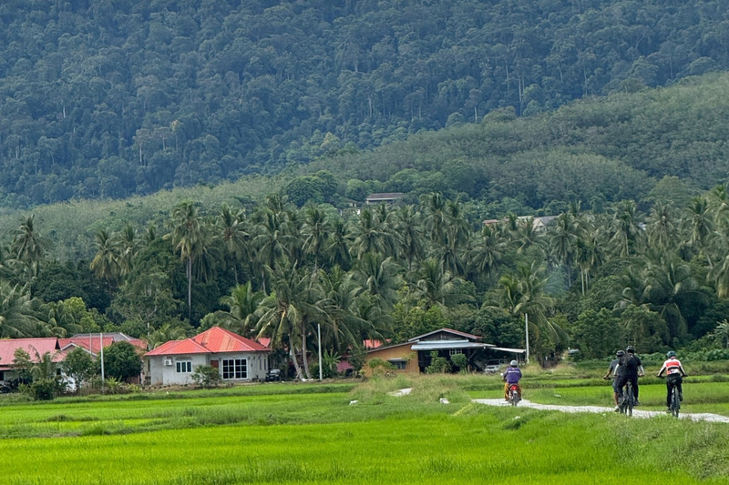 Cycling Tour in Langkawi by Mega Water Sports  0G5pVS1N