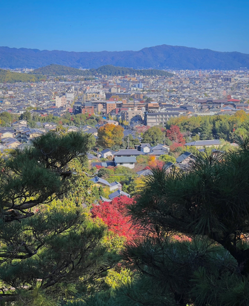 Kyoto one-day private tour (1~4 people) ULuS5mAc