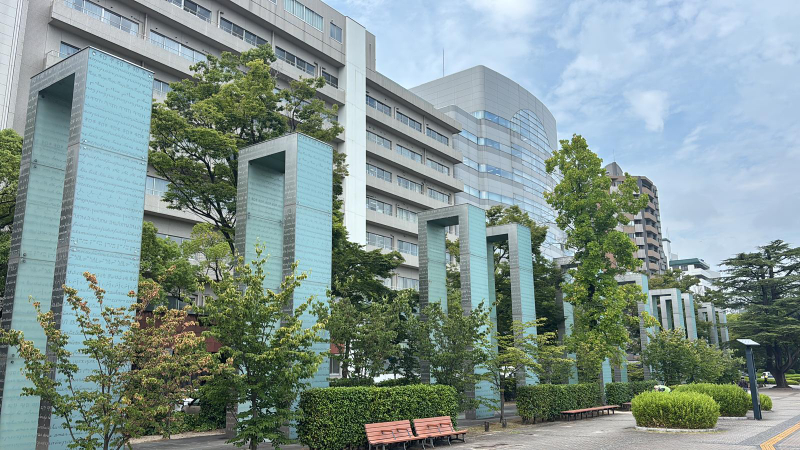 Hiroshima Half-Day Historical Walking Tour XCdVsLvZ