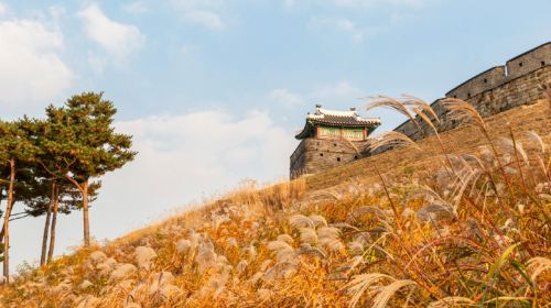 Korean Folk Village & Suwon Hwaseong Fortress + Nammun MarketOne Day Tour (From Seoul) Day Tours Hp61OLDi