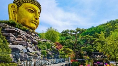 Seoul: Suwon Hwaseong & Waujeongsa & Starfield Heritage Tour Uvdh57E6