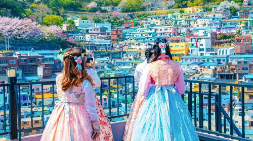Busan's Best: Sea Temples, Yacht Tour & Sky Capsule Day Tour XD7tdv3J