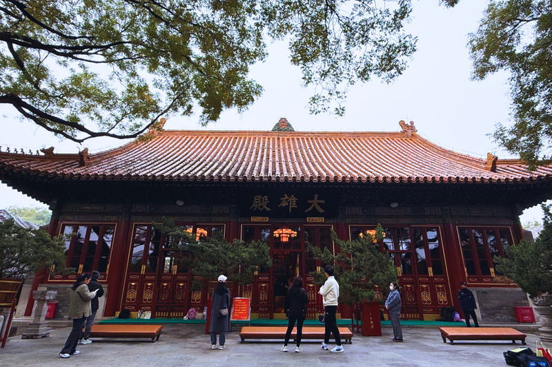 Beijing Hutong Museum Cluster Tour—Culture, Temples & Life 8nDhcXLY