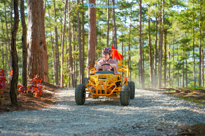 Datanla Electric Vehicle Service - Datanla Pine Karts 6lH9a04x