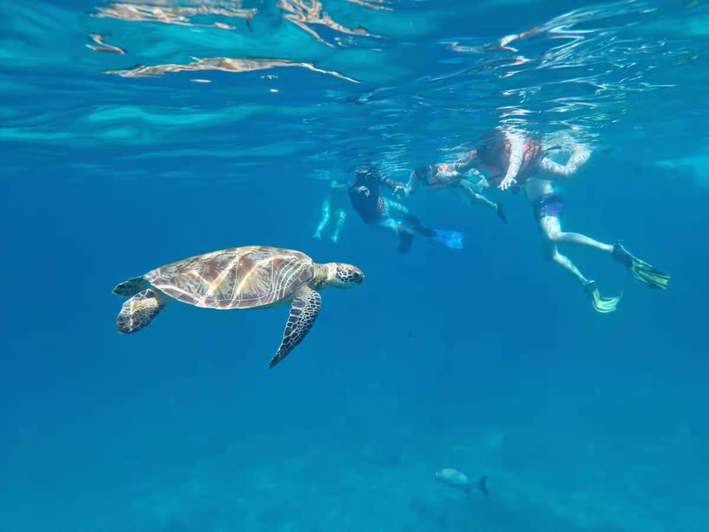 LILA Premium Catamaran Boat Tour Full Day Similan Late Departure  m67dHi7H