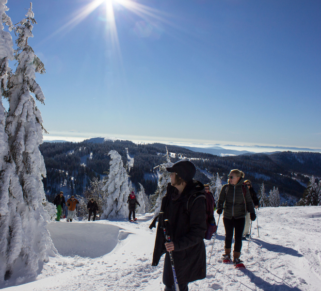 Feldberg: Guided Snowshoeing Tour in the Black Forest 0dY34Wtt