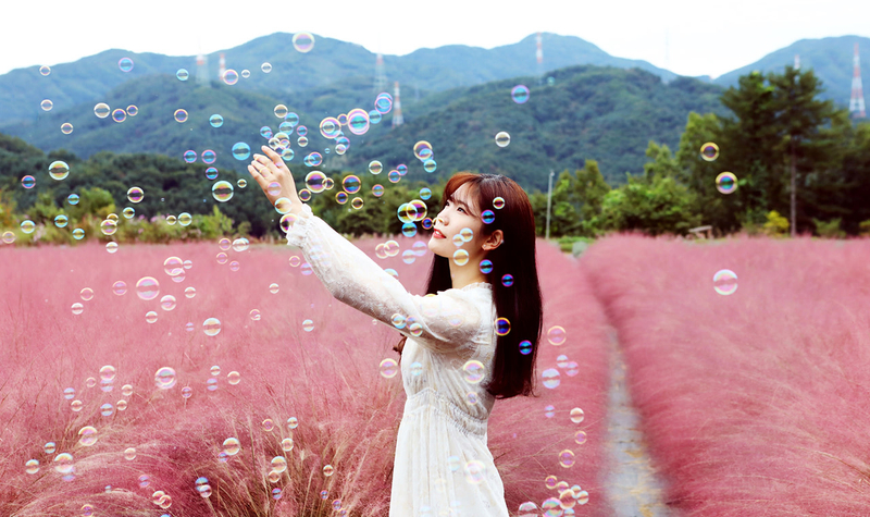 Pocheon Sanjung Lake & Art Valley Private Tour fVAklY05