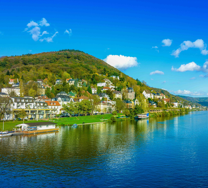 From Frankfurt: Rhine Valley Day Trip ny7kk5i2