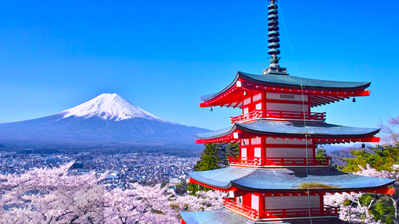 Mount Fuji Kawaguchiko Panoramic View & Tenjo-yama Park with Free Cable Car Ticket & Arakurayama Sengen Park & Hikawa Clock Shop & Lawson Convenience Store & Oishi Park One-Day Tour (Departing from Tokyo) UHnzk3OS