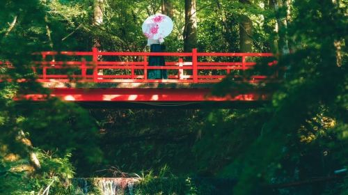 Japan Discovery Tour: Lake Biwa , Shirahige Jinja,Observation Deck, Mangetsu-ji Temple, Ukimidō Day Tours WVN8y7fS