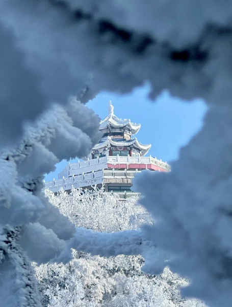 One-day tour of Zhangjiajie Tianmen Mountain National Forest Park rxLjnMWP