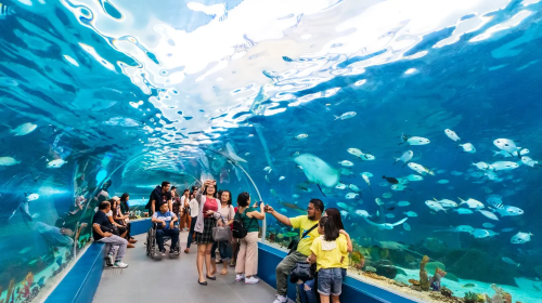 Cebu Ocean Park QaZdtAsY