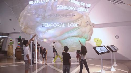 The Mind Museum jJQCCcIB