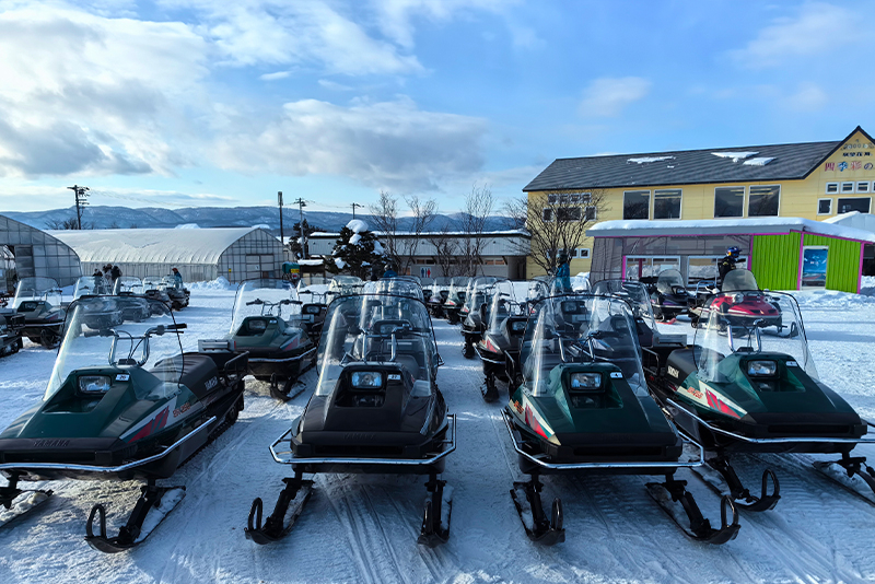 (Hokkaido Winter Illumination) Blue Pond Illumination & Ningle Terrace & Shirahige Waterfall & Shikisai no Oka & Biei Christmas Tree One-Day Tour (Departing from Sapporo) UNXmJmvQ