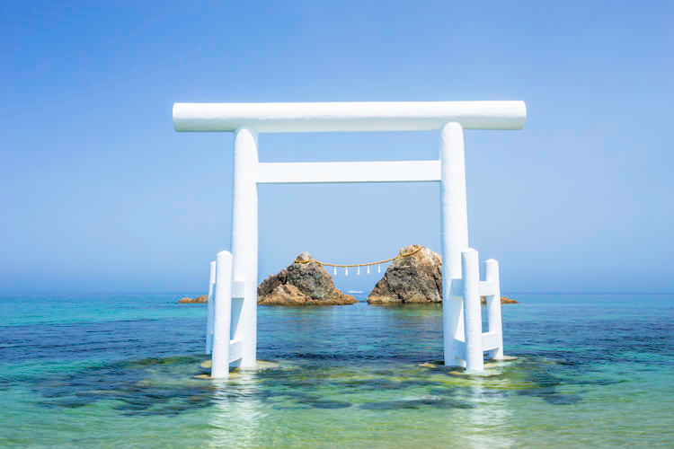 Customized day trips in Fukuoka and the surrounding Kyushu area 8QCzEzvv