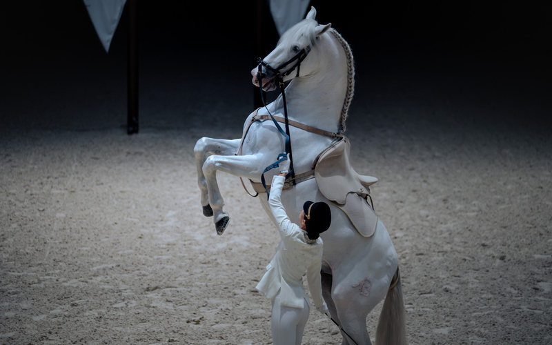 Furusiyya: The Return to Origins - ADREA Show Ticket uTIv6xKV